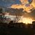 Carol Draney's profile image