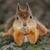 Paula St Romain's profile image