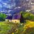 Joan Chapin's profile image