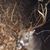 Kevin Glenn Brannon's profile image