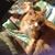 Patricia Wainwright's profile image