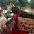 Elizabeth Branham McAllister's profile image