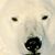 Jeffery Tabeling's profile image