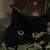 Patti Indre's profile image