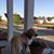 Rhonda Talley's profile image