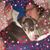 Kristina Gentry's profile image