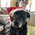 LouAnn Doncsecz's profile image