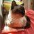 Christy Grauer's profile image