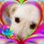 Jill Toole's profile image