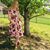 Allison Beene's profile image