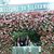 Diane Hamby's profile image