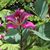 Mary Jo Bigelow's profile image
