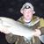 Jim Reed Jr.'s profile image