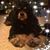 Annmarie Loiacano Kowalski's profile image