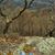Sharon Henady's profile image
