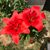 Robin Stockfelt's profile image