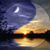 Carol Haring's profile image