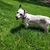 Lynn Shugrue's profile image