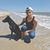 Blue Hess's profile image