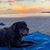Michelle Eberwein's profile image