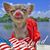 Grace Gardner's profile image