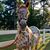 Jennifer Glenn Hood's profile image