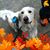 Becky Sulham's profile image