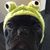 Tracy McKinney ODonnell's profile image