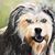 Prisi Selfridge's profile image
