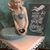 Susie Traylor's profile image