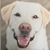 David Frey's profile image