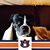 Connie Owens Nibler's profile image