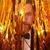 Hobbs Lane's profile image