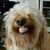 Daina Coulson's profile image