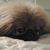 Irina Serzhan's profile image