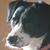 Donna Arthur DeCesare's profile image