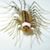 Lyn Thompson's profile image