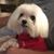 Eileen Patrice Marks's profile image