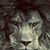 Aiven Akbari's profile image