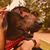 Kellie Ewasko's profile image