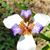 Gerie Cavanagh Martin's profile image