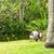 David C Steinberger's profile image