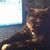 Bub Cat Hancock's profile image