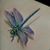 Robin Stone- Neil's profile image