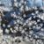 Jane Gebel Prentice's profile image
