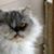 Kevin Sturgess's profile image