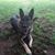 Bonnie Ginman's profile image