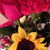 Kalen Ensminger Phillip's profile image