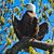 Jeff Resnikoff's profile image