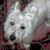 Jeanne Mamczarz Lander's profile image